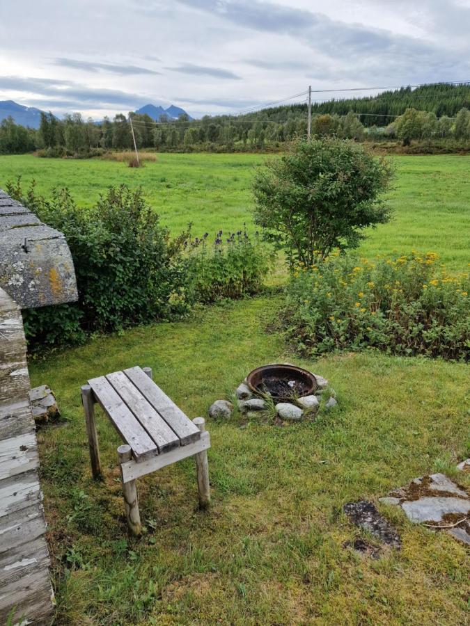 Warm And Cozy Cottage, Great Location Kvaloya Bagian luar foto