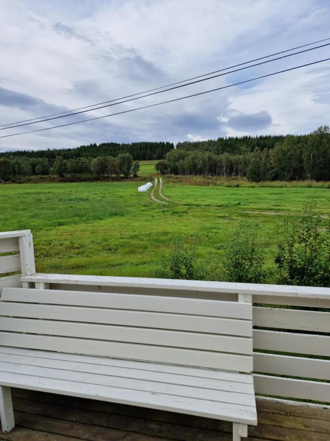 Warm And Cozy Cottage, Great Location Kvaloya Bagian luar foto