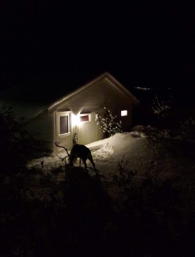 Warm And Cozy Cottage, Great Location Kvaloya Bagian luar foto