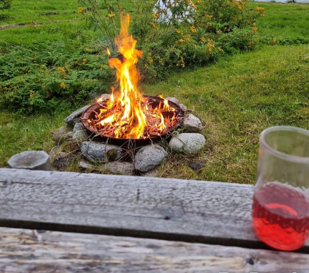 Warm And Cozy Cottage, Great Location Kvaloya Bagian luar foto