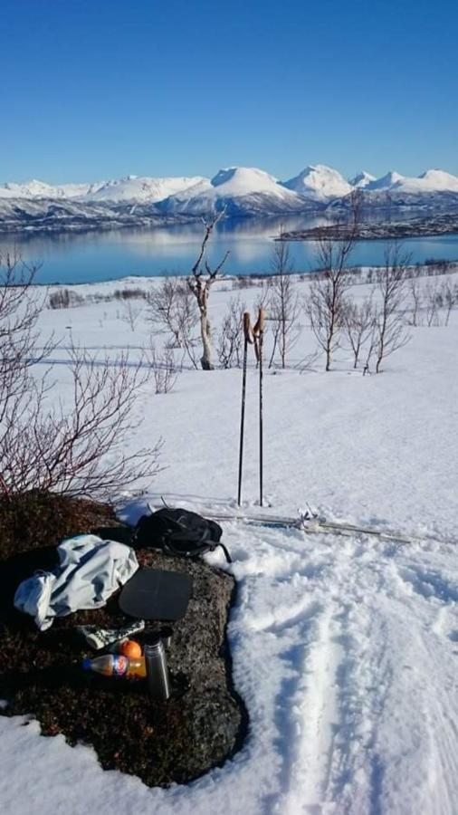 Warm And Cozy Cottage, Great Location Kvaloya Bagian luar foto